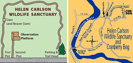 Maps of and to Sanctuary