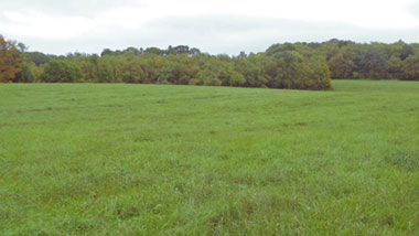 Guida Park big field