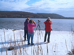 Duck Walkers Haddam