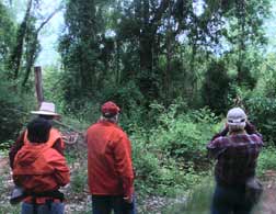 Viewing Herons