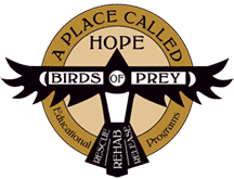 logo Place Called Hope