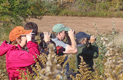 2013 Sparrow Crawl