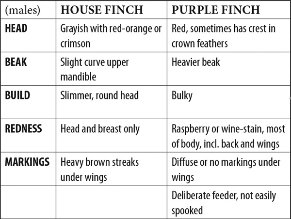 ID table house purple