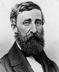 Henry David Thoreau