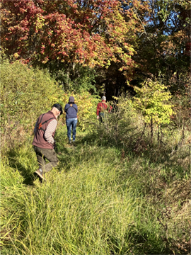 Birders seek sparrows